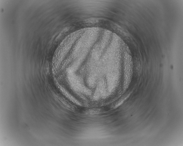 X0000070850758200607150030
