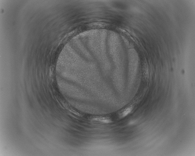 X0000070850759200607150030