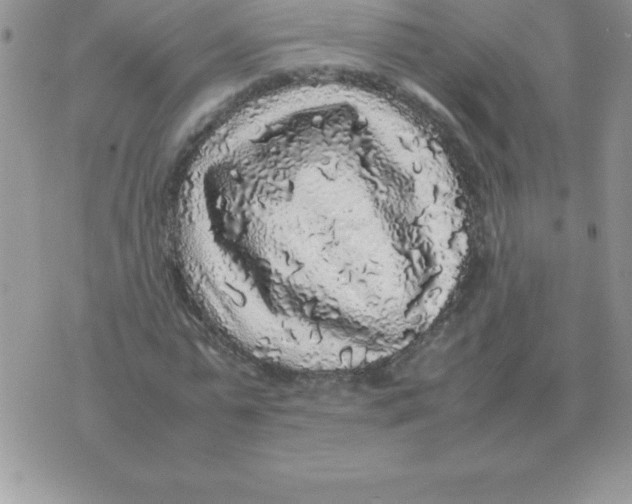 X0000070850775200607150030