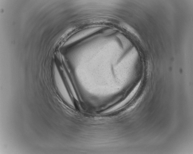 X0000070850777200607150030