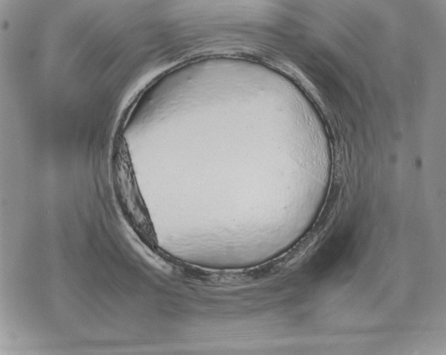X0000070850795200607150029