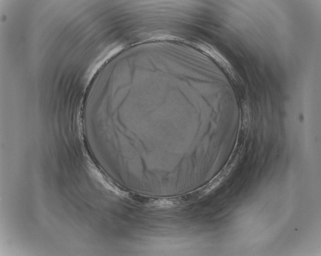 X0000070850806200607150029