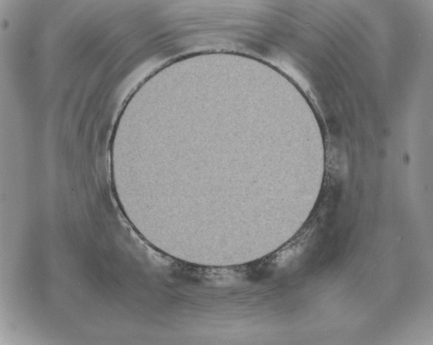 X0000070850807200607150029