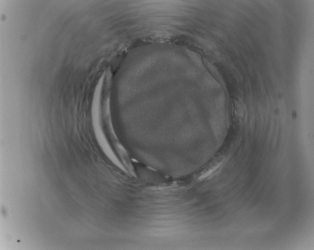 X0000070850818200607150028