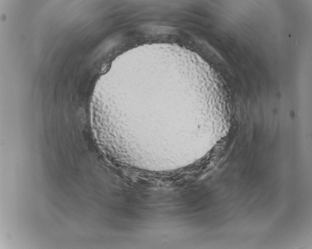 X0000070850821200607150028