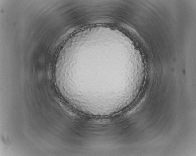 X0000070850833200607150029