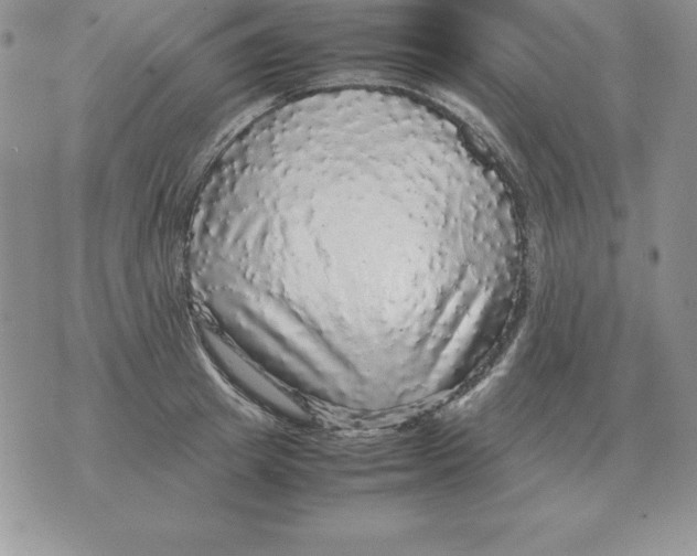 X0000070850849200607150029