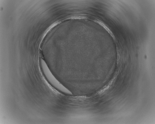X0000070850853200607150029