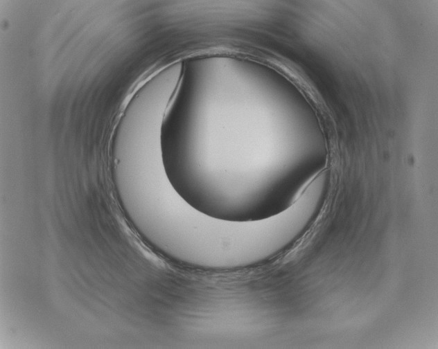 X0000070850858200607150029