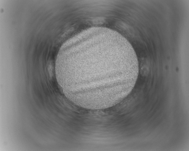 X0000070850866200607150028