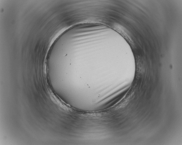X0000070850900200607150028