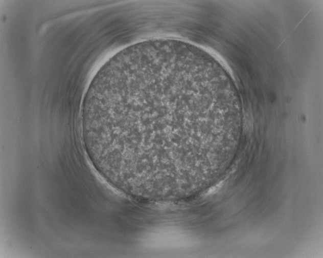 X0000070850911200607150028