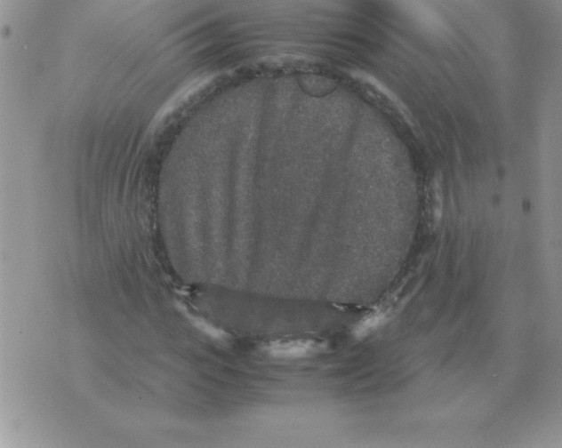X0000070850919200607150027