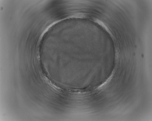 X0000070850923200607150027