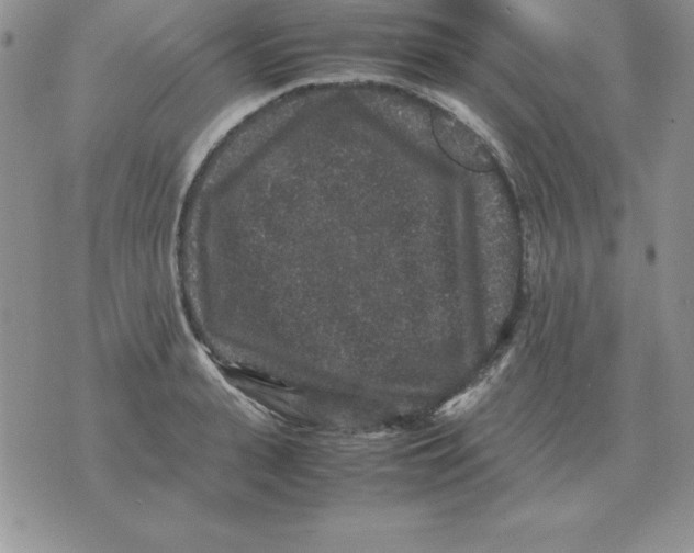 X0000070850943200607150027