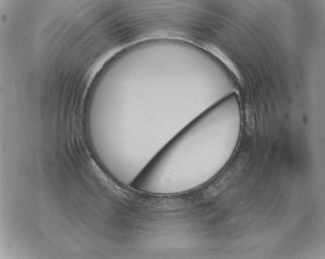 X0000070850972200607150027