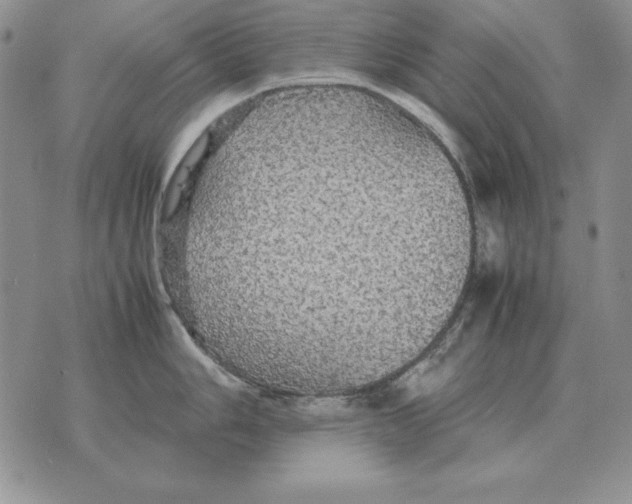 X0000070851006200607150026