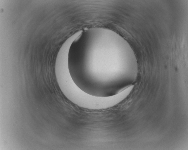 X0000070851010200607150025
