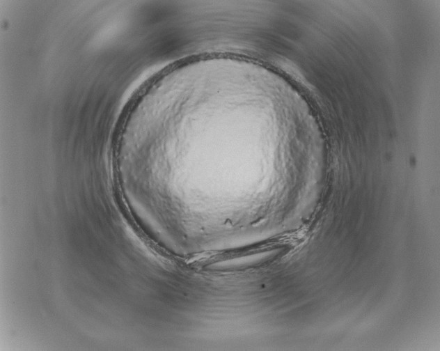 X0000070851032200607150026