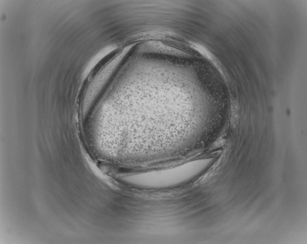 X0000070851042200607150026