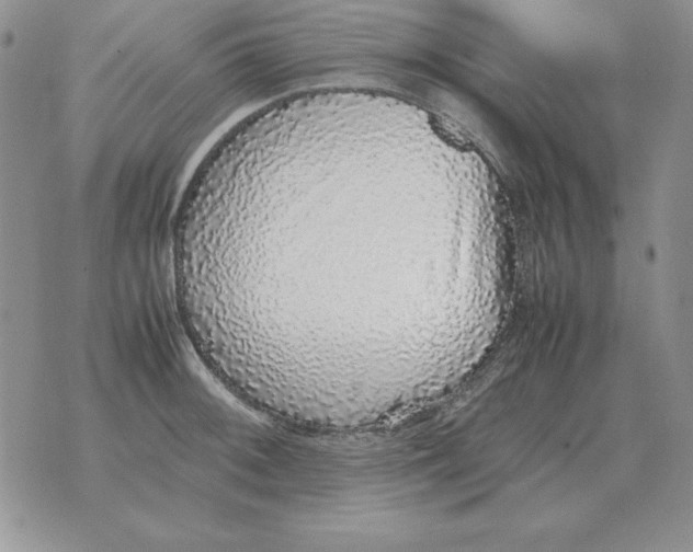 X0000070851092200607150025