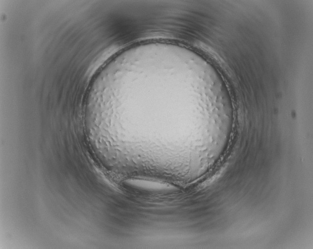 X0000070851129200607150024