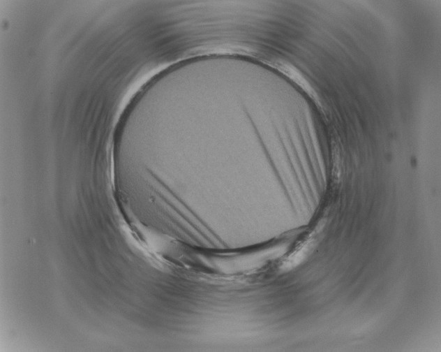 X0000070851132200607150024
