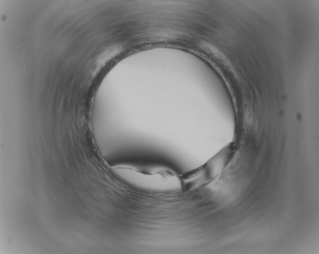 X0000070851210200607150022