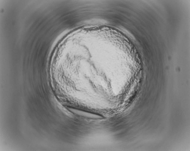 X0000070851248200607150023