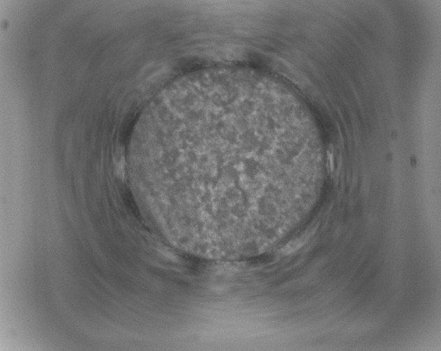 X0000070851251200607150022