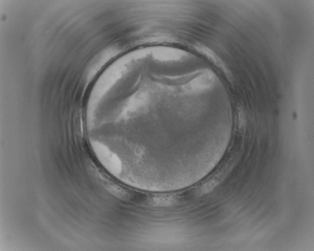 X0000070851274200607150022
