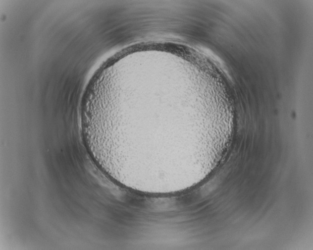 X0000070851280200607150021