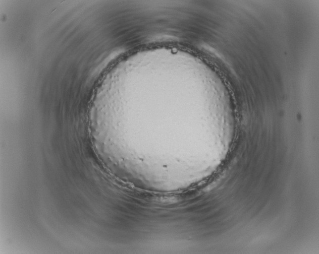 X0000070851313200607150021