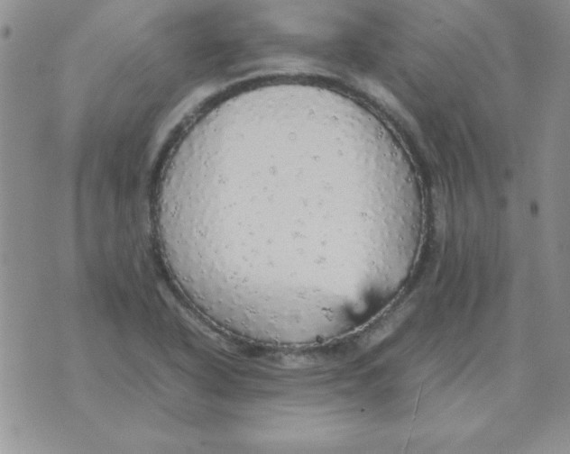 X0000070851318200607150021