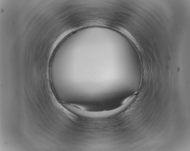 X0000070851339200607150021