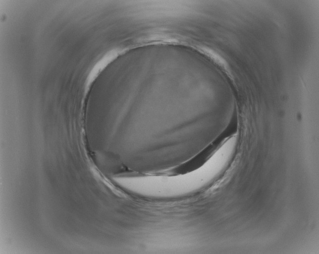 X0000070851373200607150020