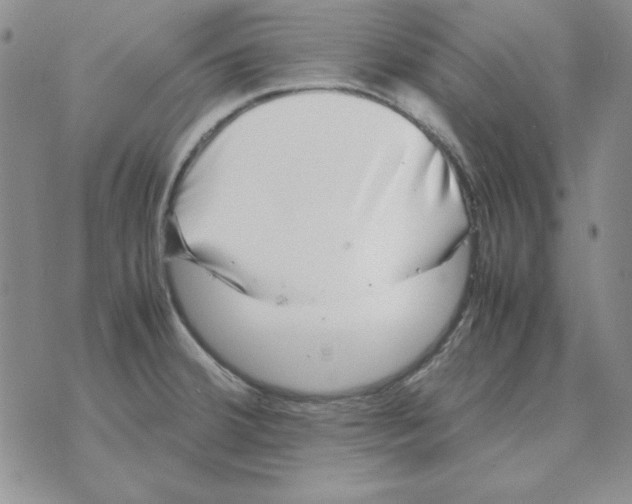 X0000070851380200607150020