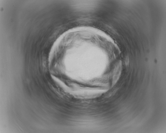 X0000070851396200607150019