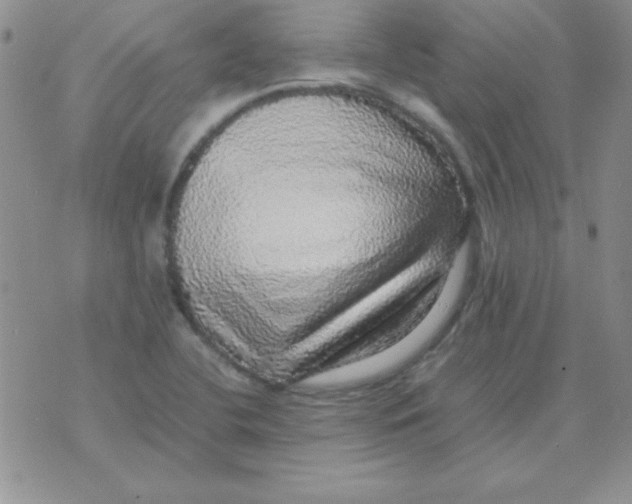 X0000070851412200607150019
