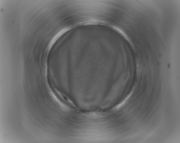 X0000070851418200607150019