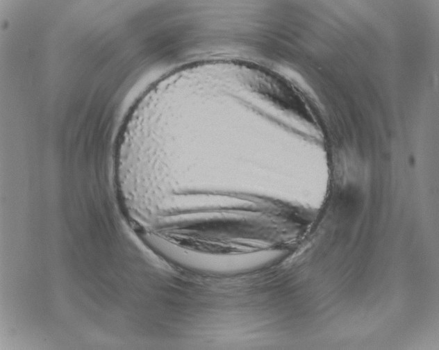 X0000070851424200607150019