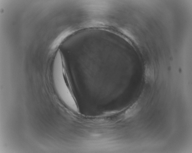X0000070851455200607150019