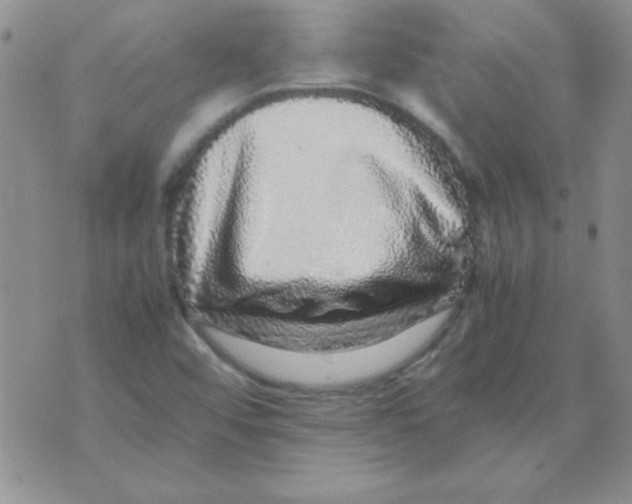 X0000070851456200607150019