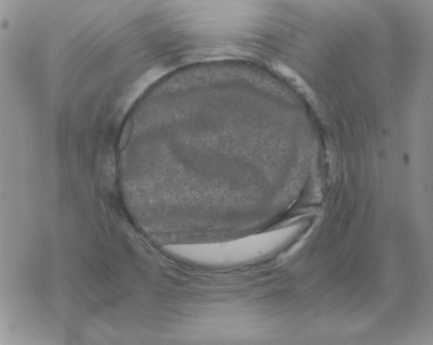 X0000070851457200607150019