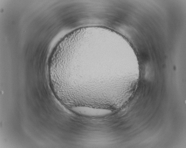 X0000070851472200607150018