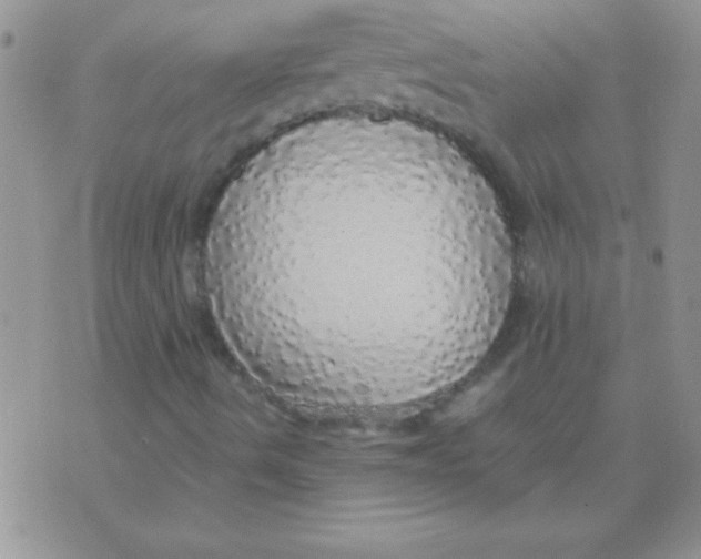 X0000070851490200607150017