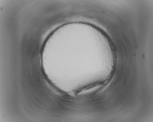 X0000070851509200607150018