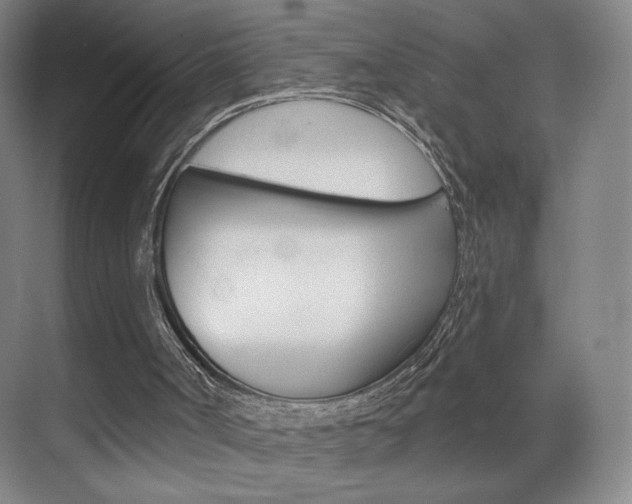 X0000070860002200606161022