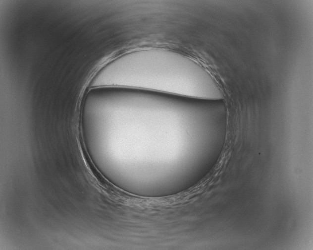 X0000070860003200606161022