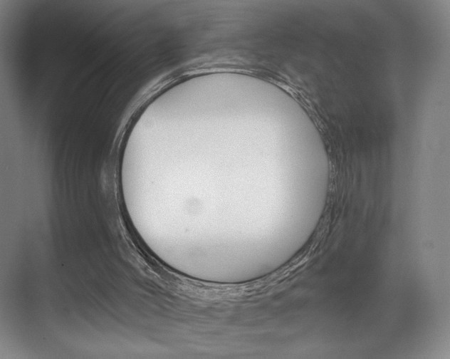 X0000070860004200606161022
